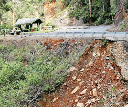 ON THE ROAD AGAIN: The RTA will again close Waterfall Way on Dorrigo Mountain next week to fix landslips. TREVOR VEALE ON THE ROAD AGAIN: The RTA will again close Waterfall Way on Dorrigo Mountain next week to fix landslips. TREVOR VEALE